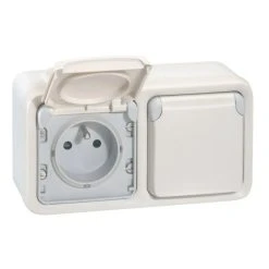 Double Prise Extérieure 2P+T - IP55 - Blanc LEGRAND