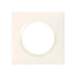 Plaque Dooxie 1 Poste Carrée Finition Blanc LEGRAND